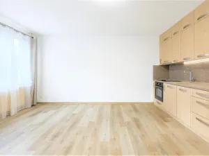 Pronájem bytu 1+kk, Plzeň - Bolevec, Žlutická, 31 m2