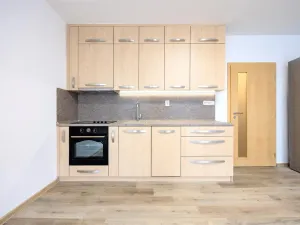 Pronájem bytu 1+kk, Plzeň - Bolevec, Žlutická, 31 m2