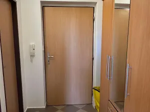 Pronájem bytu 1+kk, Rožmitál pod Třemšínem, 26 m2