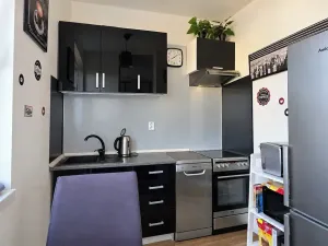 Prodej bytu 1+kk, Mladá Boleslav, 17. listopadu, 44 m2