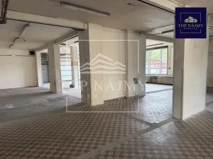 Pronájem skladu, Ostrava, Novinářská, 321 m2