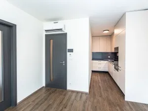 Pronájem bytu 2+kk, Praha - Žižkov, Jana Želivského, 53 m2
