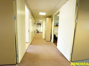 Pronájem kanceláře, Brno, Příkop, 20 m2