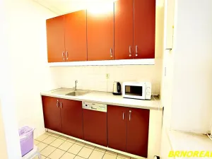 Pronájem kanceláře, Brno, Příkop, 20 m2