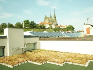 Pronájem bytu 1+kk, Brno, Vodní, 20 m2