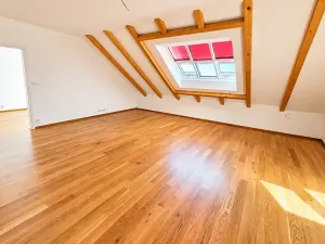 Prodej bytu 2+kk, Praha - Karlín, Jirsíkova, 73 m2