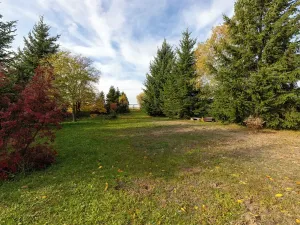 Prodej rodinného domu, Moravskoslezský Kočov, 90 m2