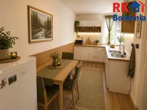 Prodej bytu 1+1, Benátky nad Jizerou, Dražická, 42 m2