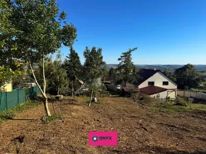 Prodej pozemku pro bydlení, Olšany, 6031 m2