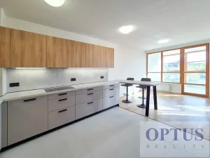 Pronájem bytu 4+1, Praha - Liboc, U silnice, 200 m2