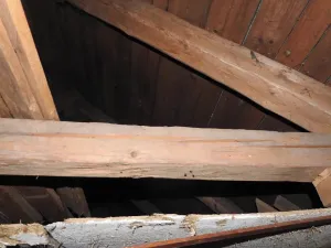 Prodej chalupy, Strážné, 200 m2