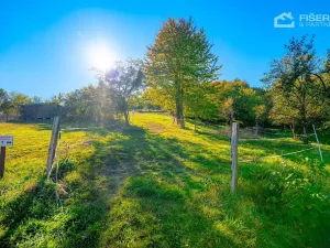 Prodej pozemku pro bydlení, Mikulůvka, 3000 m2