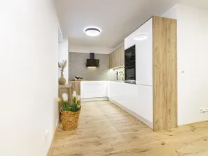 Prodej bytu 2+kk, Ostrava, Opavská, 53 m2
