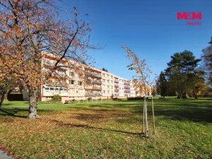 Prodej bytu 2+1, Světlá nad Sázavou, Sázavská, 60 m2