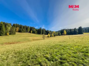 Prodej chalupy, Krásná, 170 m2