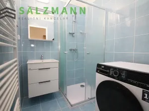 Pronájem bytu 2+1, Plzeň, Zámečnická, 60 m2