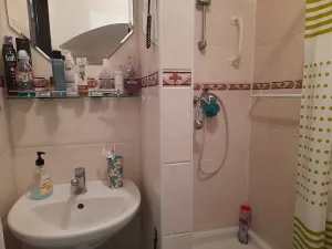 Prodej rodinného domu, Budětice, 240 m2