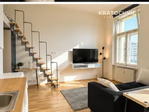 Pronájem bytu 1+kk, Praha - Smíchov, Radlická, 24 m2