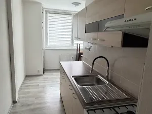 Pronájem bytu 2+1, Brno, Žebětínská, 58 m2