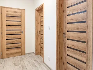 Pronájem bytu 2+kk, České Budějovice, Doudlebská, 60 m2