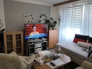 Prodej bytu 1+1, Aš, Dlouhá, 37 m2