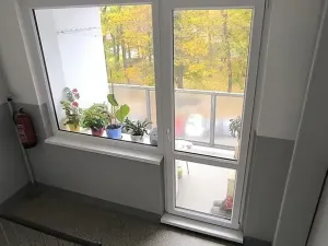 Prodej bytu 1+1, Aš, Dlouhá, 37 m2