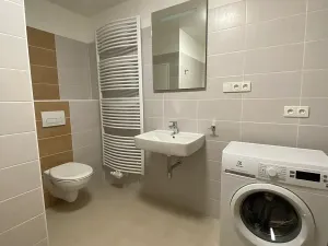 Pronájem bytu 1+kk, Olomouc, Edmunda Husserla, 37 m2