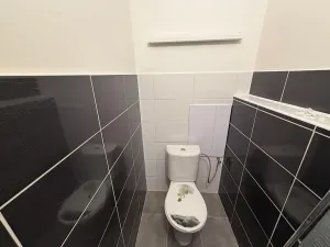Pronájem bytu 3+1, Česká Ves, Tichá, 68 m2