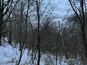 Prodej lesa, Kralupy nad Vltavou, 3462 m2