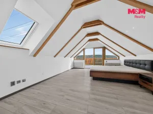 Prodej rodinného domu, Březová-Oleško - Oleško, Východní, 295 m2