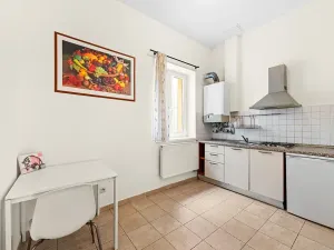 Prodej bytu 2+1, Praha - Žižkov, Bořivojova, 77 m2