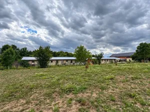 Prodej komerční nemovitosti, Vrbice, 700 m2
