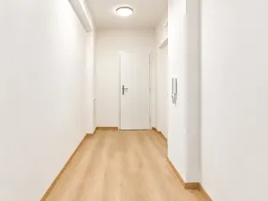 Prodej bytu 1+1, Brno, Došlíkova, 52 m2
