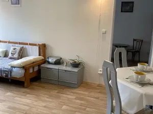 Prodej bytu 2+kk, Mariánské Lázně, Franze Kafky, 54 m2