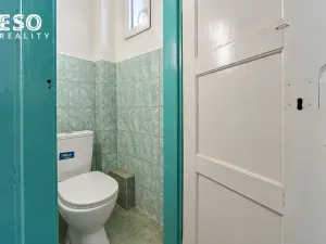 Prodej obchodního prostoru, Krnov, Krásné Loučky, 442 m2