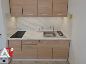 Pronájem bytu 1+kk, Brno, Halasovo náměstí, 24 m2