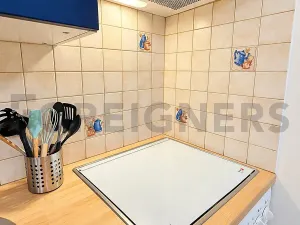 Pronájem bytu 1+kk, Praha - Vinohrady, Varšavská, 40 m2