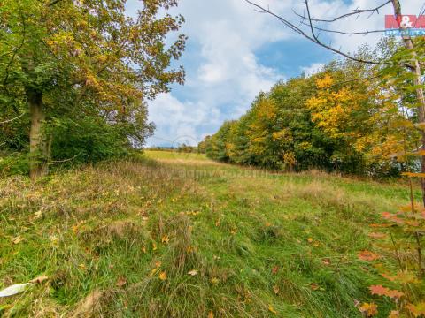 Prodej pozemku pro bydlení, Kraslice, 2182 m2