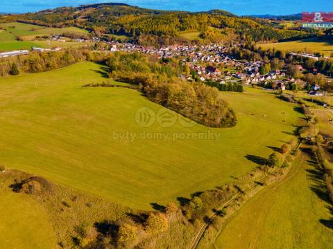 Prodej trvalého travního porostu, Kolinec, 6484 m2