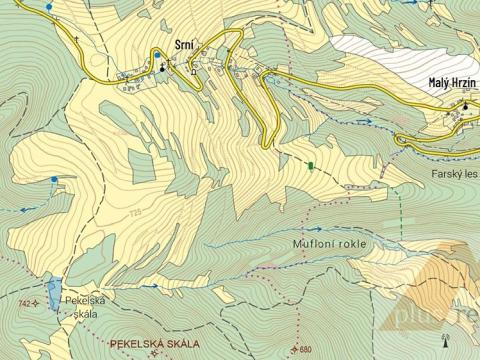 Prodej trvalého travního porostu, Stráž nad Ohří, 9519 m2