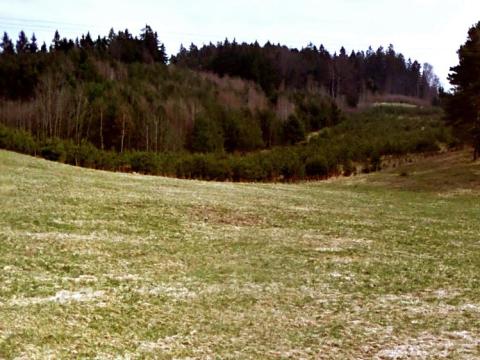 Prodej trvalého travního porostu, Mařenice, 4258 m2