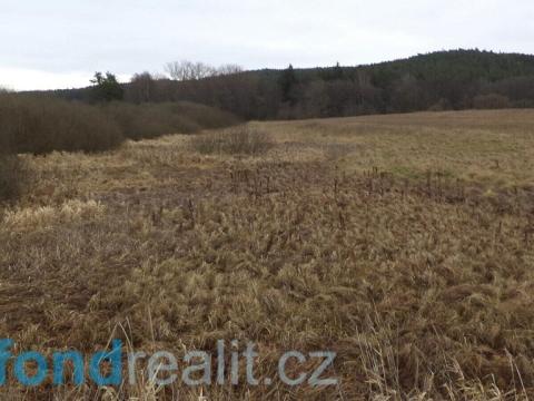 Prodej zemědělské půdy, Stráž, 13083 m2