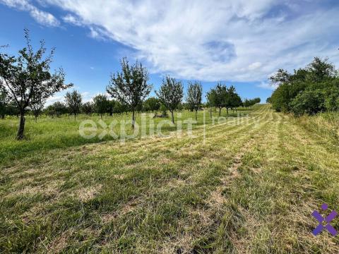 Prodej zemědělské půdy, Strážnice, 1446 m2