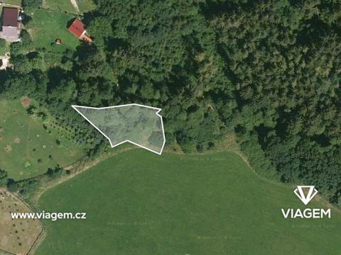 Prodej trvalého travního porostu, Louňová, 801 m2