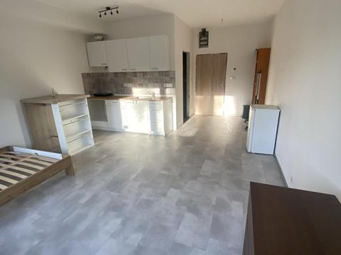 Pronájem bytu 1+kk, Dolní Břežany, 28 m2