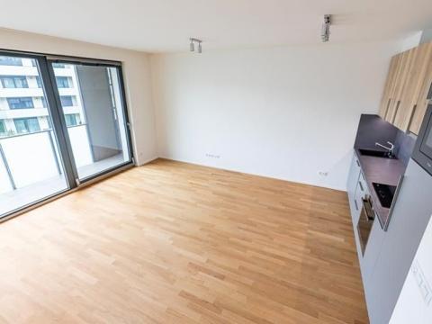 Prodej bytu 1+kk, Praha - Žižkov, Seifertova, 37 m2