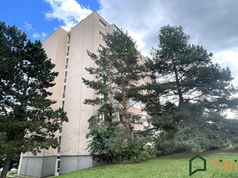 Prodej bytu 2+kk, Brno, Chalabalova, 45 m2