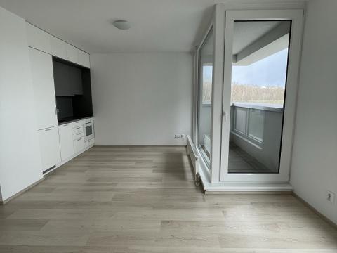 Pronájem bytu 2+kk, Plzeň - Severní Předměstí, Na Chmelnicích, 53 m2