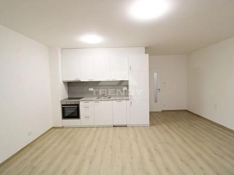 Pronájem bytu 2+kk, Plzeň, Heyrovského, 60 m2