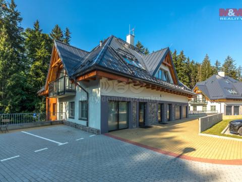 Prodej bytu 1+kk, Harrachov - Nový Svět, 32 m2